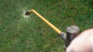 Lawn Pest Control in the Twin Cities: Safeguarding Your Green Space
