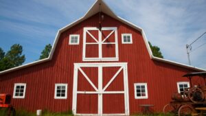 Transforming Wisconsin Barns Into Lasting Designs: The Crafted Journey of Barnwood Shiplap